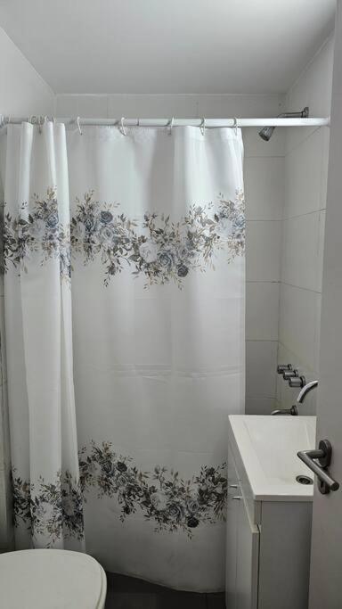 Departamento Centrico Impecable Apartment Rosario